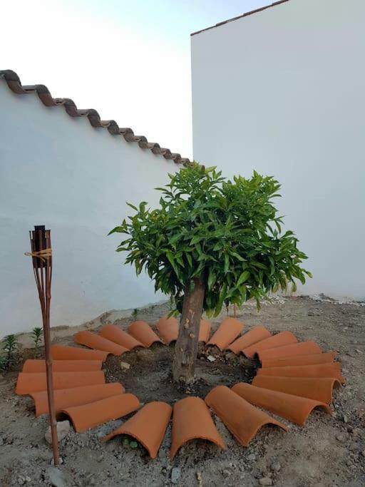 Casa Da Enxota Villa Povoa de Sao Miguel Eksteriør billede